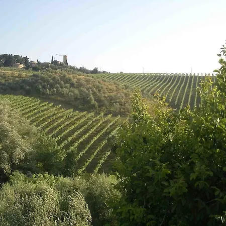 Lantgård Podere Cappella