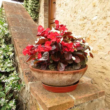 Agriturismo Podere Cappella